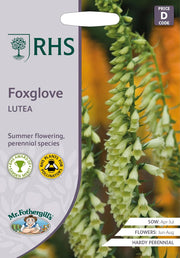 RHS Foxglove Lutea Seeds 1000 Seeds, Hardy Perennial Yellow Digitalis | Flower Seeds | 5011775414850 5011775414850 | AllotMate Essentials