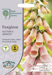 RHS Foxglove Suttons Apricot Seeds 2500 Seeds, Hardy Biennial Digitalis purpurea | Flower Seeds | 5011775274188 5011775274188 | AllotMate Essentials