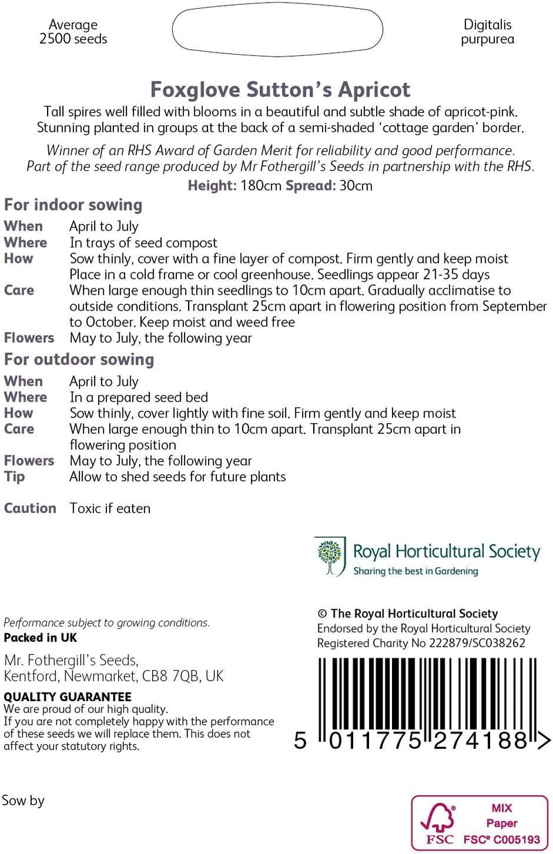 RHS Foxglove Suttons Apricot Seeds 2500 Seeds, Hardy Biennial Digitalis purpurea | Flower Seeds | 5011775274188 5011775274188 | AllotMate Essentials