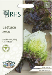 RHS LETTUCE Amaze | Vegetable Seeds | 36381 5011775363813 | AllotMate Essentials
