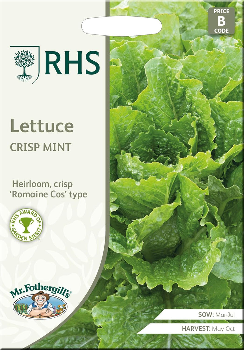 RHS LETTUCE Crisp Mint | Vegetable Seeds | 64862 5011775648620 | AllotMate Essentials