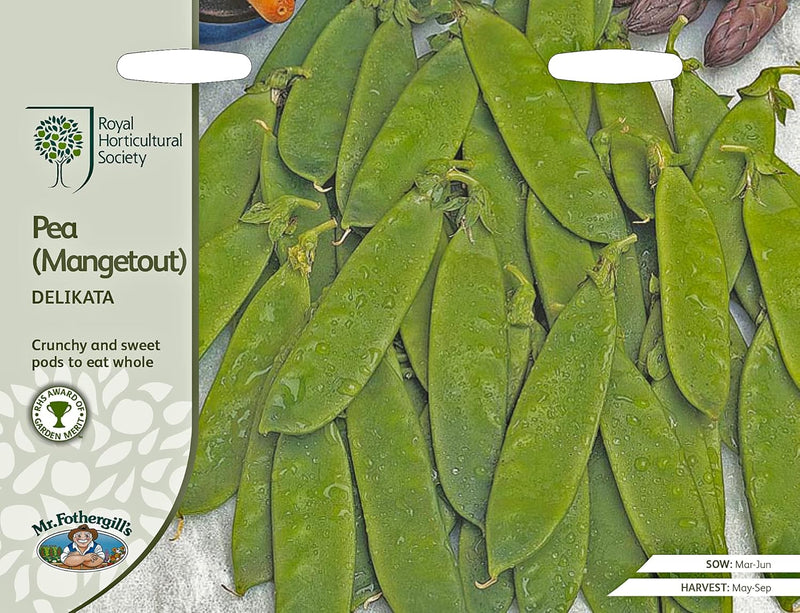 RHS Pea Mangetout Delikata Seeds, 150 Seeds | Vegetable Seeds | 24957 5011775273853 | AllotMate Essentials