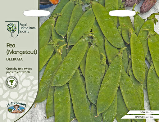 RHS Pea Mangetout Delikata Seeds, 150 Seeds | Vegetable Seeds | 24957 5011775273853 | AllotMate Essentials