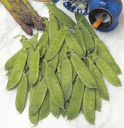 RHS Pea Mangetout Delikata Seeds, 150 Seeds | Vegetable Seeds | 24957 5011775273853 | AllotMate Essentials