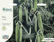 RHS Pea Spring Early Avola Seeds | Vegetable Seeds | 35194 5011775351940 | AllotMate Essentials