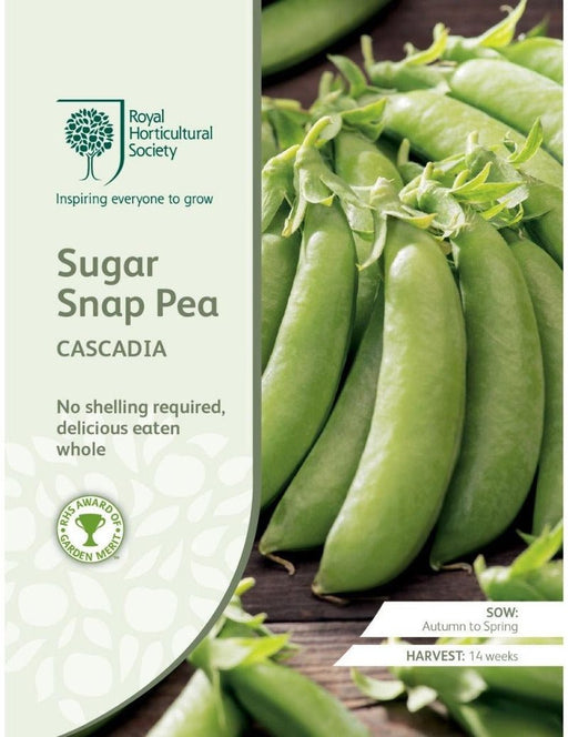 RHS PEA (Sugarsnap) Cascadia | Vegetable Seeds | 16763 5011775273860 | AllotMate Essentials