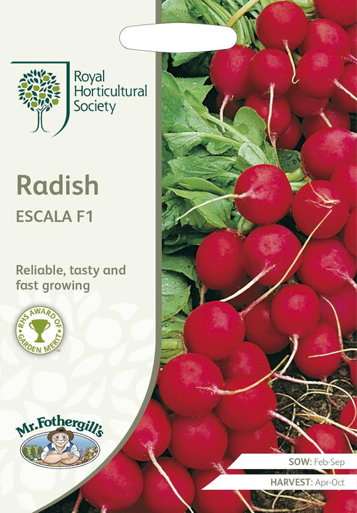 RHS RADISH Escala F1 | Vegetable Seeds | 18638 5011775273686 | AllotMate Essentials
