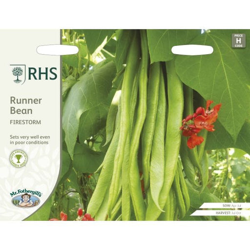 RHS Runner Bean Firestorm Seeds by Mr Fothergills | Vegetable Seeds | 18406 5011775273884 | AllotMate Essentials