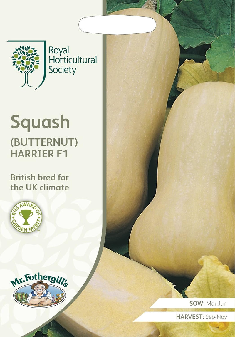 RHS Squash Butternut Harrier F1 Vegetable, 10 Seeds | Vegetable Seeds | 20606 5011775273730 | AllotMate Essentials