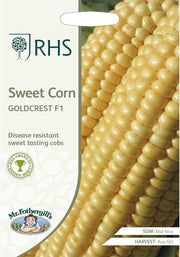 RHS Sweet Corn Goldcrest F1, 35 Seeds | Vegetable Seeds | 30028 5.01178E+12 | AllotMate Essentials