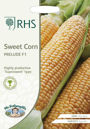 RHS Sweet Corn Prelude F1, 35 Seeds | Vegetable Seeds | 30166 5011775290744 | AllotMate Essentials