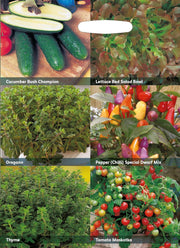 RHS Vegetables for a Vertical Garden Vegetable Seeds Collection 6 Compact Varieties | Vegetable Seeds | 5011775290508 5011775290508 | AllotMate Essentials