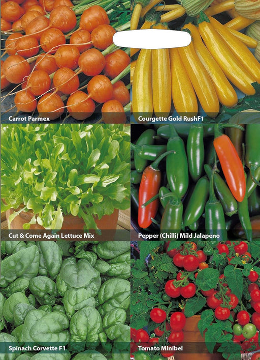 RHS Vegetables for Containers Collection 6 Varieties, Curated Vegetable Seed Collection for Pots and Patios | Vegetable Seeds | 5011775290447 5011775290447 | AllotMate Essentials