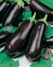 RHS Vegetables for Heirloom Crops Vegetable Seeds Collection 6 Traditional Varieties | Vegetable Seeds | 5011775290461 5011775290461 | AllotMate Essentials