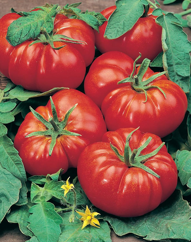 RHS Vegetables for Heirloom Crops Vegetable Seeds Collection 6 Traditional Varieties | Vegetable Seeds | 5011775290461 5011775290461 | AllotMate Essentials