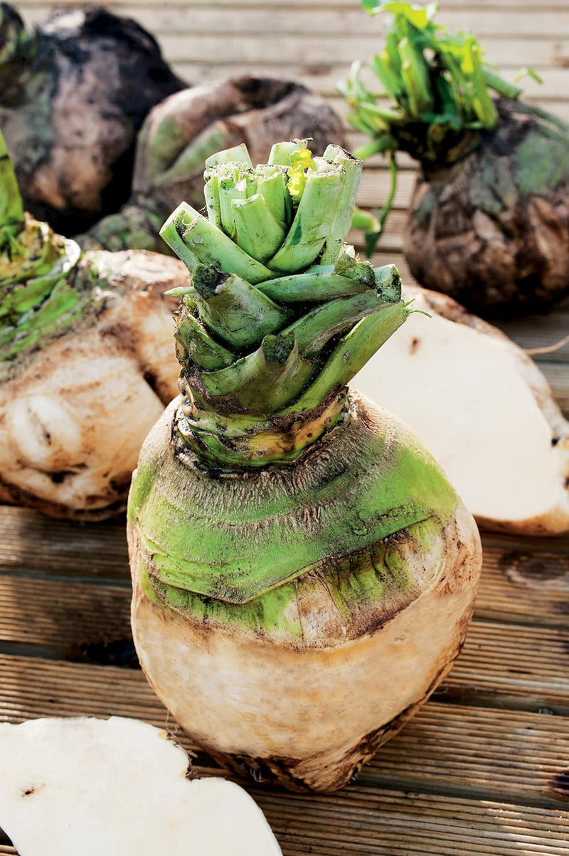 RHS Vegetables for Heirloom Crops Vegetable Seeds Collection 6 Traditional Varieties | Vegetable Seeds | 5011775290461 5011775290461 | AllotMate Essentials