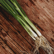 RHS Vegetables from the Orient Vegetable Seeds Collection 6 Asian Inspired Varieties | Vegetable Seeds | 5011775290485 5011775290485 | AllotMate Essentials