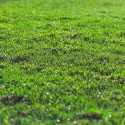 Rootzone Sand and Soil Mix | Sand & Building Materials | DRZJBB Custom Product | AllotMate Essentials