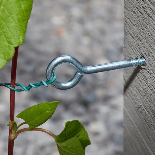 Screw In Vine Eyes, Wire Plant Support Fixings for Climbing Plants | Plant support fixing | 8802001 5050642071017 | AllotMate Essentials