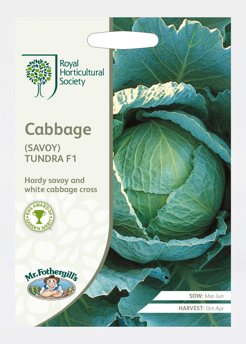 Mr Fothergills RHS Cabbage Savoy Tundra F1 Seeds AGM Winter Hardy