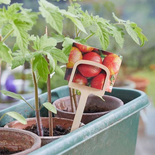 Smart Garden Wooden T Plant Labels (12.5cm, 10 Pack): Compostable, Plastic-Alternative Labels for Seed Trays, Pots and Seedlings | Plant Labels | 5050642078528 5050642078528 | AllotMate Essentials