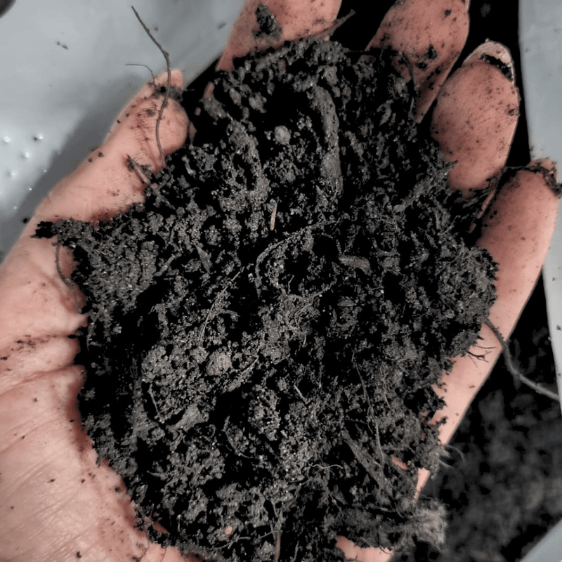 Multi Purpose Welsh Compost