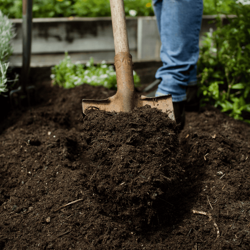 Springmix Compost Garden Mulch | Topsoil & Compost | DSMCHBB Custom Product | AllotMate Essentials