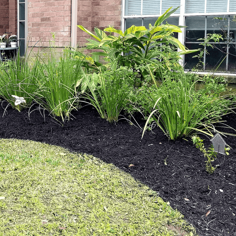 Springmix Compost Garden Mulch | Topsoil & Compost | DSMCHBB Custom Product | AllotMate Essentials