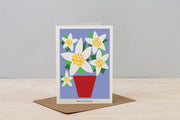 Studio Wald Christmas Plants Cards (Pack of 6): Six Botanical Christmas Card Designs on Thick Soft White Board, Boxed, Made in the UK | Christmas Cards | 5060918580648 5060918580648 | AllotMate Essentials