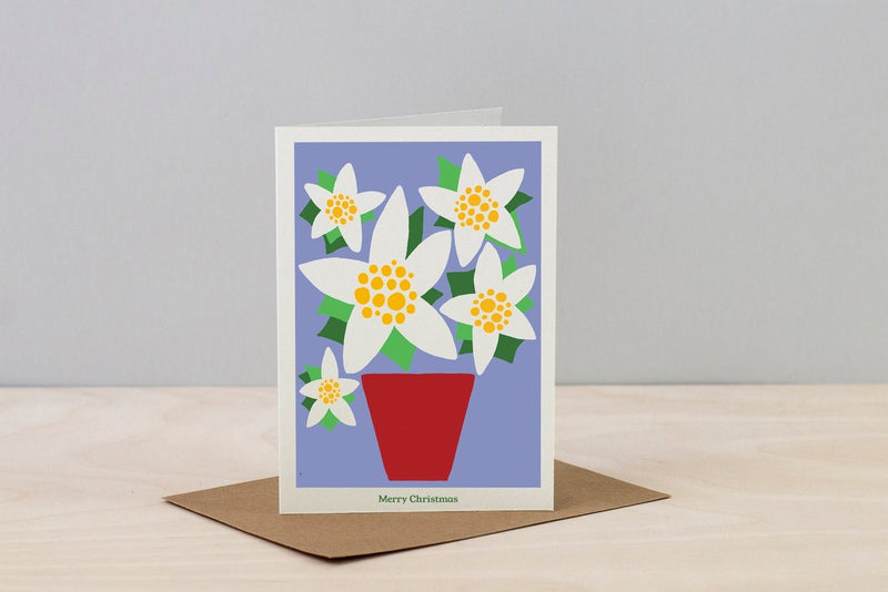 Studio Wald Christmas Plants Cards (Pack of 6): Six Botanical Christmas Card Designs on Thick Soft White Board, Boxed, Made in the UK | Christmas Cards | 5060918580648 5060918580648 | AllotMate Essentials