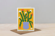 Studio Wald Christmas Plants Cards (Pack of 6): Six Botanical Christmas Card Designs on Thick Soft White Board, Boxed, Made in the UK | Christmas Cards | 5060918580648 5060918580648 | AllotMate Essentials