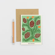 Studio Wald Christmas Plants Cards (Pack of 6): Six Botanical Christmas Card Designs on Thick Soft White Board, Boxed, Made in the UK | Christmas Cards | 5060918580648 5060918580648 | AllotMate Essentials