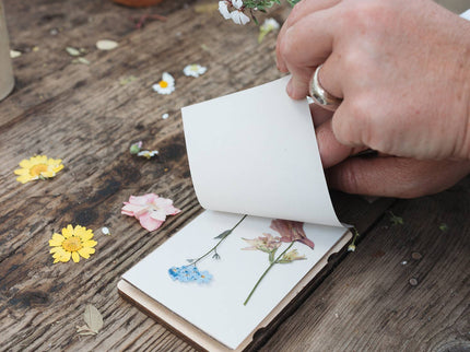 Pocket Flower Press – Teasel Design for Wildflower Crafting | Studio Wald | Flower Press Kit | BPPTE | AllotMate Essentials
