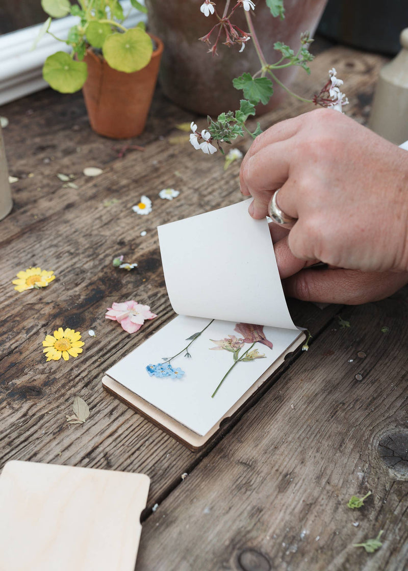 Pocket Flower Press – Teasel Design for Wildflower Crafting | Studio Wald | Flower Press Kit | BPPTE | AllotMate Essentials