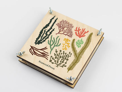 Seaweed Press Kit – Coastal Foraging & Craft Set | Studio Wald | Flower Press Kit | WSEAFP | AllotMate Essentials