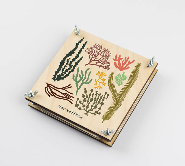 Seaweed Press Kit – Coastal Foraging & Craft Set | Studio Wald | Flower Press Kit | WSEAFP | AllotMate Essentials