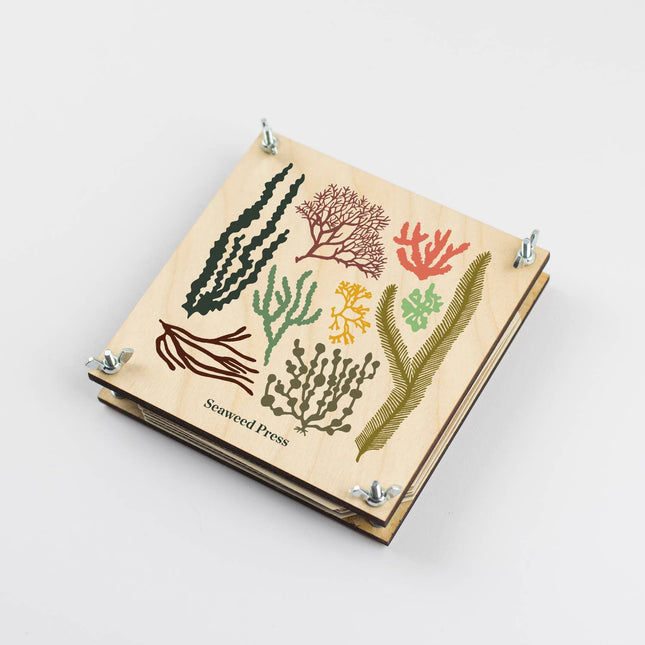 Seaweed Press Kit – Coastal Foraging & Craft Set | Studio Wald | Flower Press Kit | WSEAFP | AllotMate Essentials
