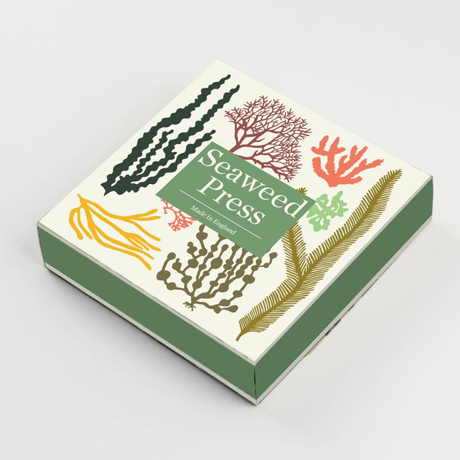 Seaweed Press Kit – Coastal Foraging & Craft Set | Studio Wald | Flower Press Kit | WSEAFP | AllotMate Essentials