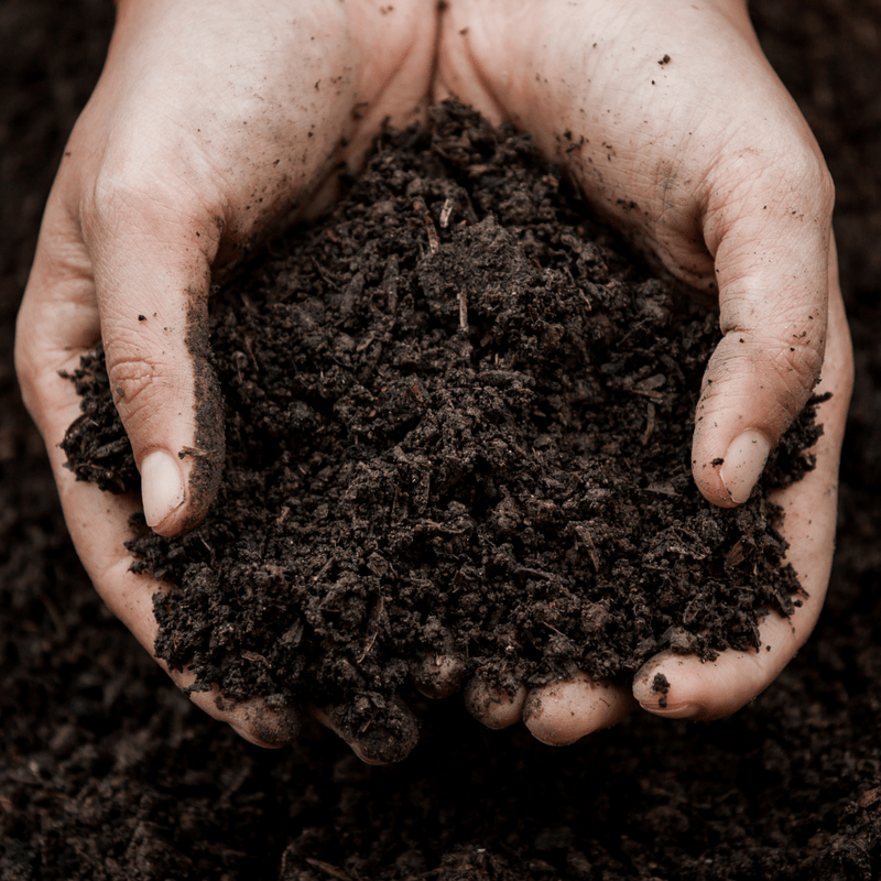 Summermix Compost Garden Mulch