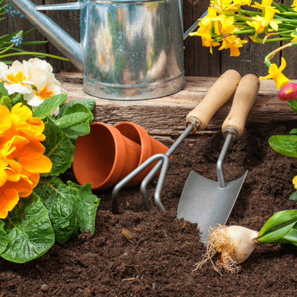 Summermix Compost Garden Mulch | Topsoil & Compost | DSMCJB Custom Product | AllotMate Essentials