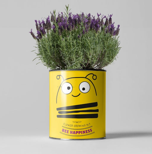 Big Bee Happiness Grow Kit – Pollinator - Friendly Plant Gift | The Plant Gift Co. | Plant Growing Kit | BIG - BEE - HPP | AllotMate Essentials