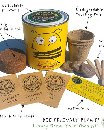 Big Bee Happiness Grow Kit – Pollinator - Friendly Plant Gift | The Plant Gift Co. | Plant Growing Kit | BIG - BEE - HPP | AllotMate Essentials