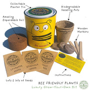 Big Bee Happiness Grow Kit – Pollinator - Friendly Plant Gift | The Plant Gift Co. | Plant Growing Kit | BIG - BEE - HPP | AllotMate Essentials