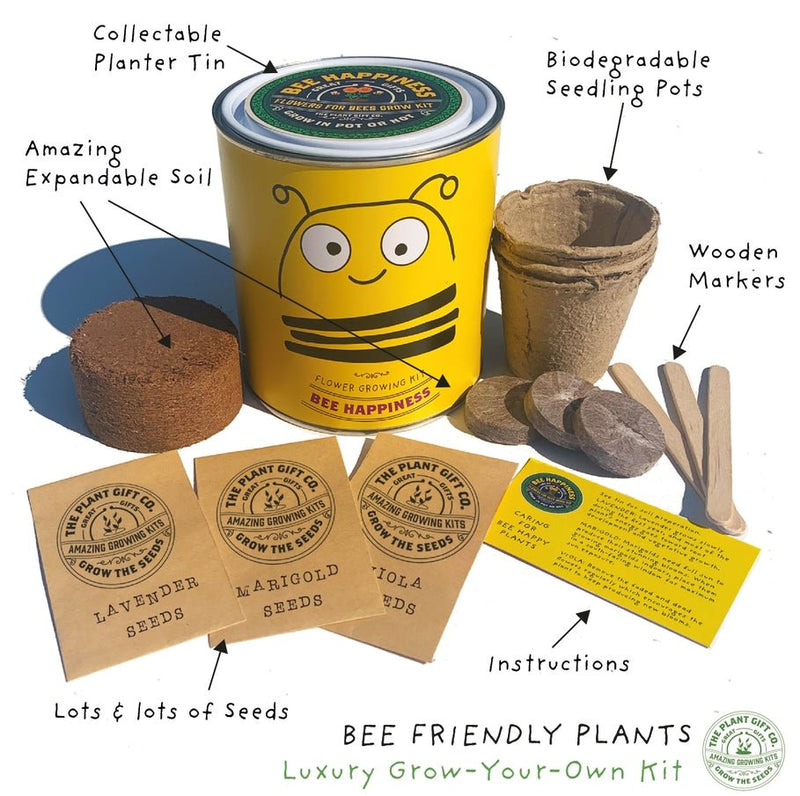 Big Bee Happiness Grow Kit – Pollinator - Friendly Plant Gift | The Plant Gift Co. | Plant Growing Kit | BIG - BEE - HPP | AllotMate Essentials