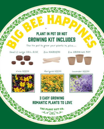 Big Bee Happiness Grow Kit – Pollinator - Friendly Plant Gift | The Plant Gift Co. | Plant Growing Kit | BIG - BEE - HPP | AllotMate Essentials