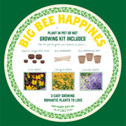 Big Bee Happiness Grow Kit – Pollinator - Friendly Plant Gift | The Plant Gift Co. | Plant Growing Kit | BIG - BEE - HPP | AllotMate Essentials