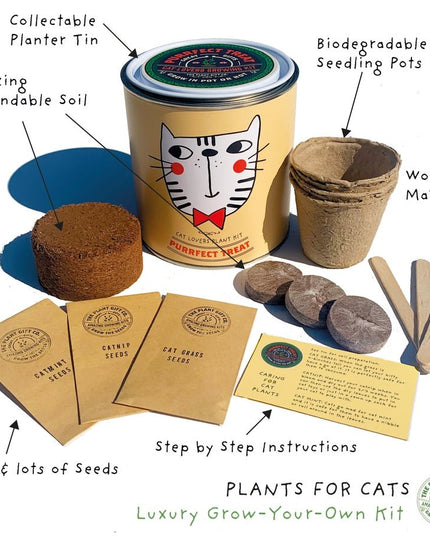 Cat - Friendly Plant Grow Kit – Perfect Gift for Cat Owners | The Plant Gift Co. | Plant Growing Kit | THEPLANTCO - CATLOVERS | AllotMate Essentials