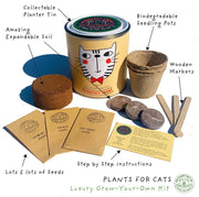 Cat - Friendly Plant Grow Kit – Perfect Gift for Cat Owners | The Plant Gift Co. | Plant Growing Kit | THEPLANTCO - CATLOVERS | AllotMate Essentials