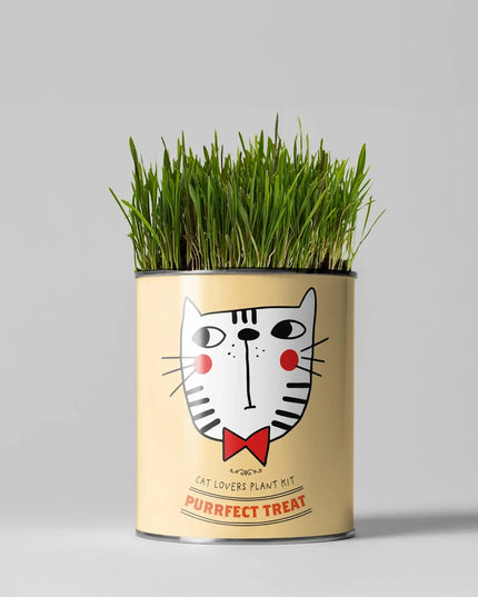 Cat - Friendly Plant Grow Kit – Perfect Gift for Cat Owners | The Plant Gift Co. | Plant Growing Kit | THEPLANTCO - CATLOVERS | AllotMate Essentials
