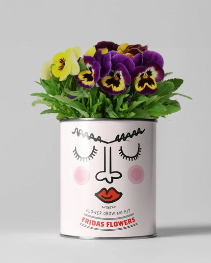 The Plant Gift Co. The Plant Gift Co. - Easy Big Flowering Plants - Plant Growing Kit - AllotMate Essentials - starter small - 